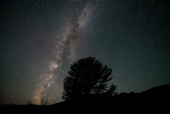 Unsplash ID cm0C-xPERsU
