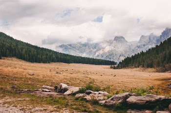 Unsplash ID CMfzpKWAFQ0