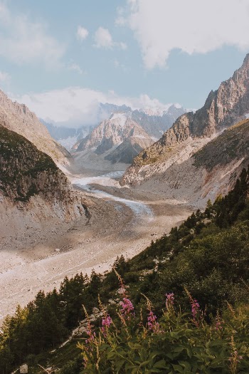 Unsplash ID cmyDyDa6Wfk