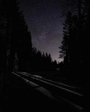 Unsplash ID CNc8q-pDDRw