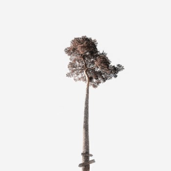 Unsplash ID CNGdxgjWdz4