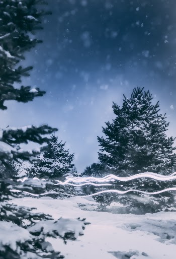 Unsplash ID Co1ItSyXvq8