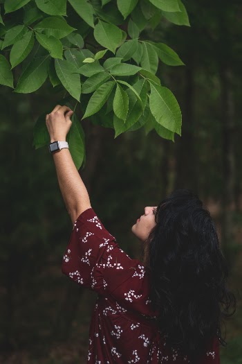 Unsplash ID Coa1IHgR4aE