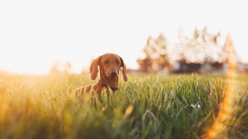 Unsplash ID coLq-6uXei0
