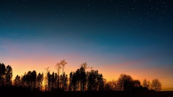 Unsplash ID cOVcbr8zf80