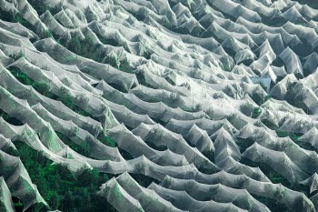 Unsplash ID cSC-KGydvHE