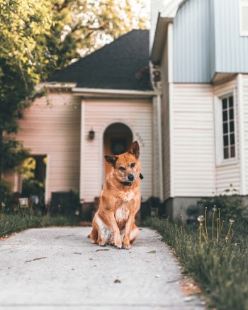 Unsplash ID CSdcvzCoziM
