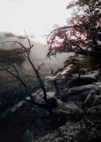 Unsplash ID Csie79A4dV8
