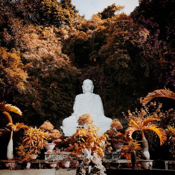 Unsplash ID CTX0m4kEr9A