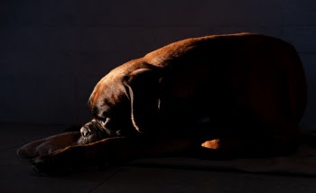 Unsplash ID cudett_zQGM