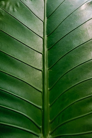Unsplash ID cuIwZaJAFS8