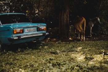 Unsplash ID CUvUooaGLLc