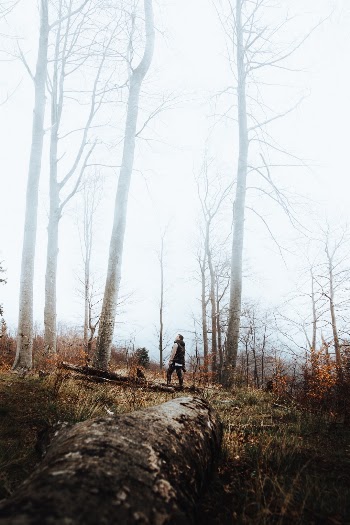 Unsplash ID cUZOenyAZJ4