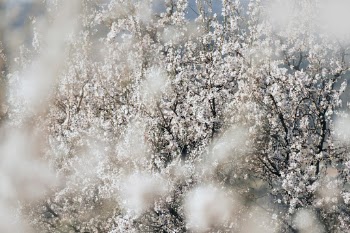 Unsplash ID _cvLDl5e7hE