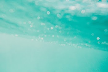 Unsplash ID CVmzj-a8Fmg