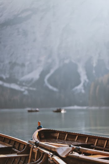 Unsplash ID cVSnkwp8ZpU