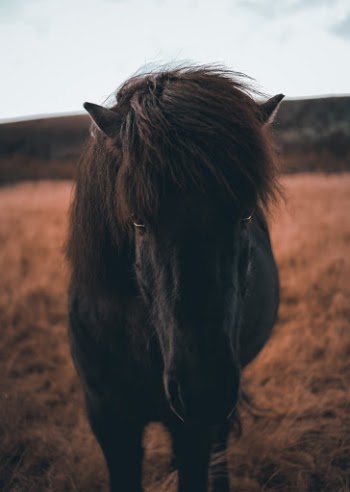 Unsplash ID cyUo1MGv-4I