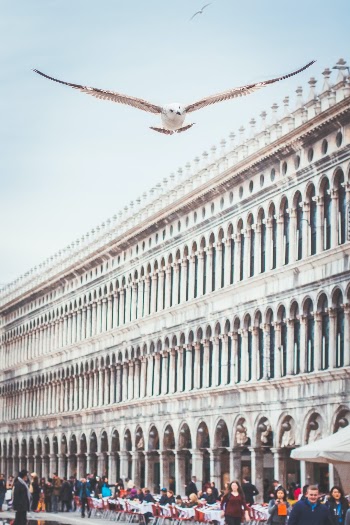 Unsplash ID d0aWcjDh-EQ