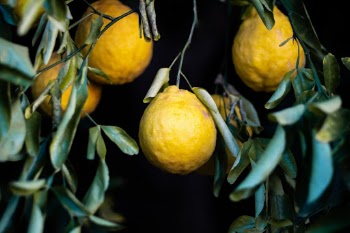 Unsplash ID d14iJP94TWg
