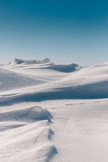 Unsplash ID d1NX2iggPok