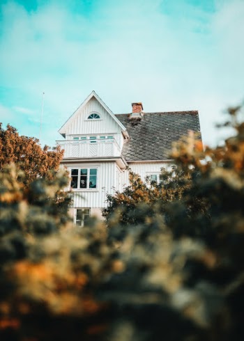 Unsplash ID D1r99B3dGIw