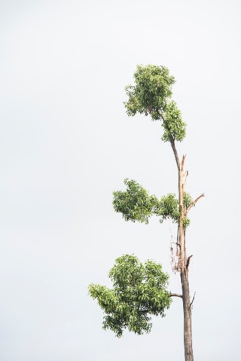 Unsplash ID D4Qbhf_Dthg
