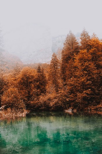 Unsplash ID d4wscs4FtpY