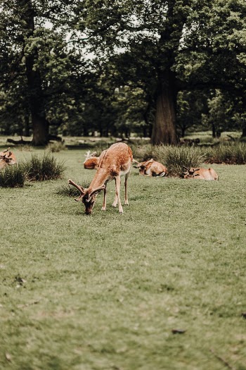 Unsplash ID D5CV02fpwAA