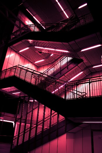 Unsplash ID d6cgn3ET26I