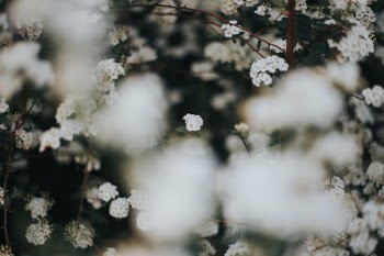 Unsplash ID D7SVqBn2c-w