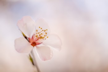 Unsplash ID Db7ZEEmcVkQ