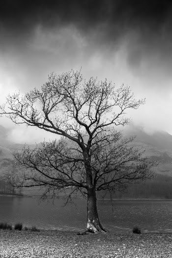 Unsplash ID -dbAuw_PsuQ