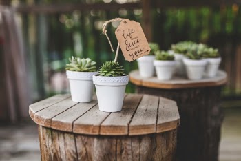 Unsplash ID dbORTH6dYfU