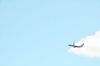 Unsplash ID dCOuYgsm9X8