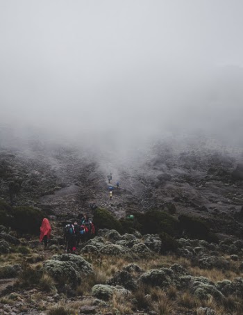 Unsplash ID dD43WjBAB1o