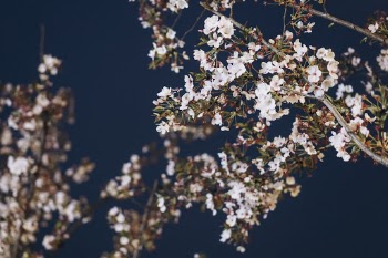Unsplash ID DdBs-0CGr7c