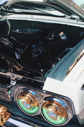 Unsplash ID DgojTcGgsWc