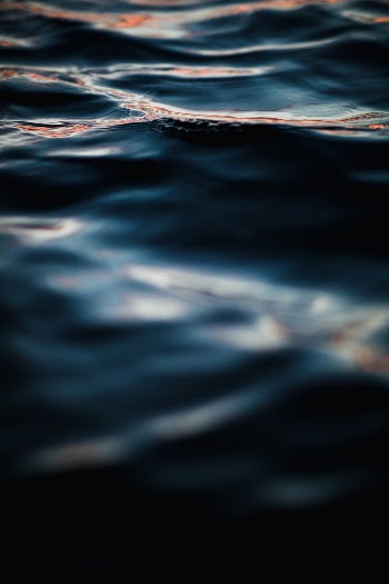 Unsplash ID diiIPzNM0FY