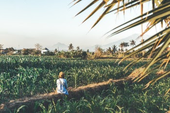 Unsplash ID DjDYnjUiCAo