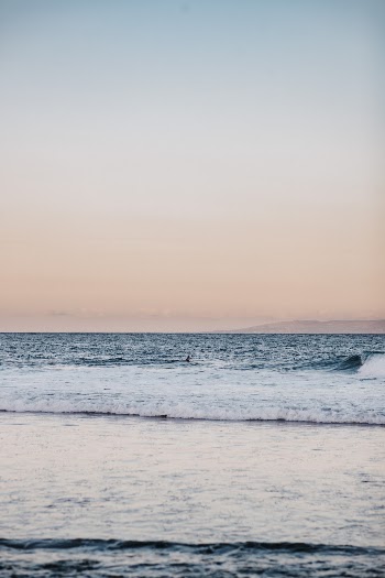 Unsplash ID dJzxlwJ5eN8