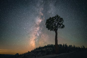 Unsplash ID DK9FVDXD2cg