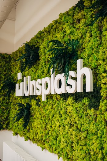 Unsplash ID DkkVU4N1zZw