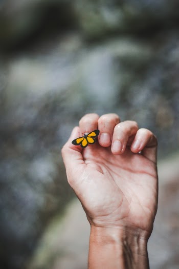 Unsplash ID dKxY8ywc_0c