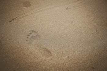 Unsplash ID Dmlpqh3kCCU
