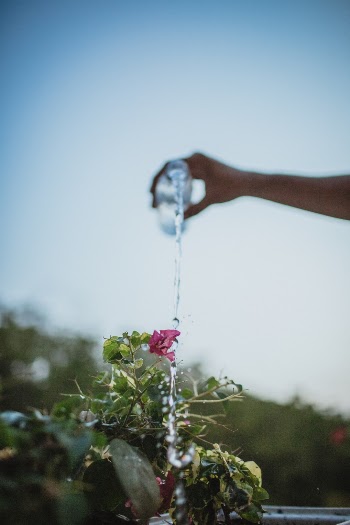 Unsplash ID DNDw_exz0dc
