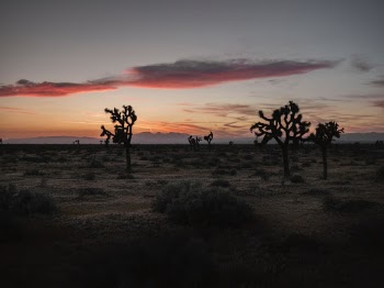 Unsplash ID DNN8mA0gStU