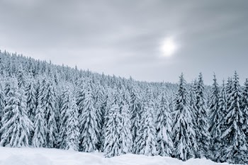 Unsplash ID do4a-a29Ru4