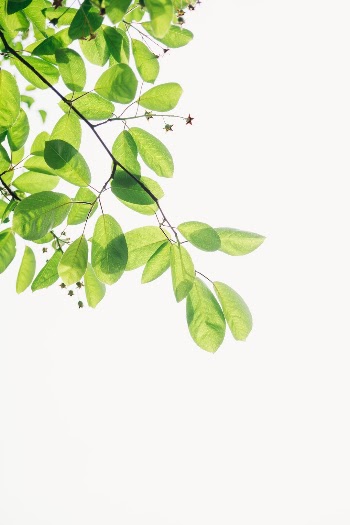 Unsplash ID dO5quaqAYg0