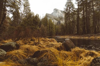 Unsplash ID DPX07N8Sw-4