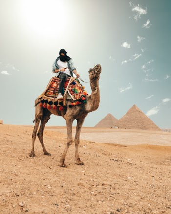 Unsplash ID dqGZoy03ocE